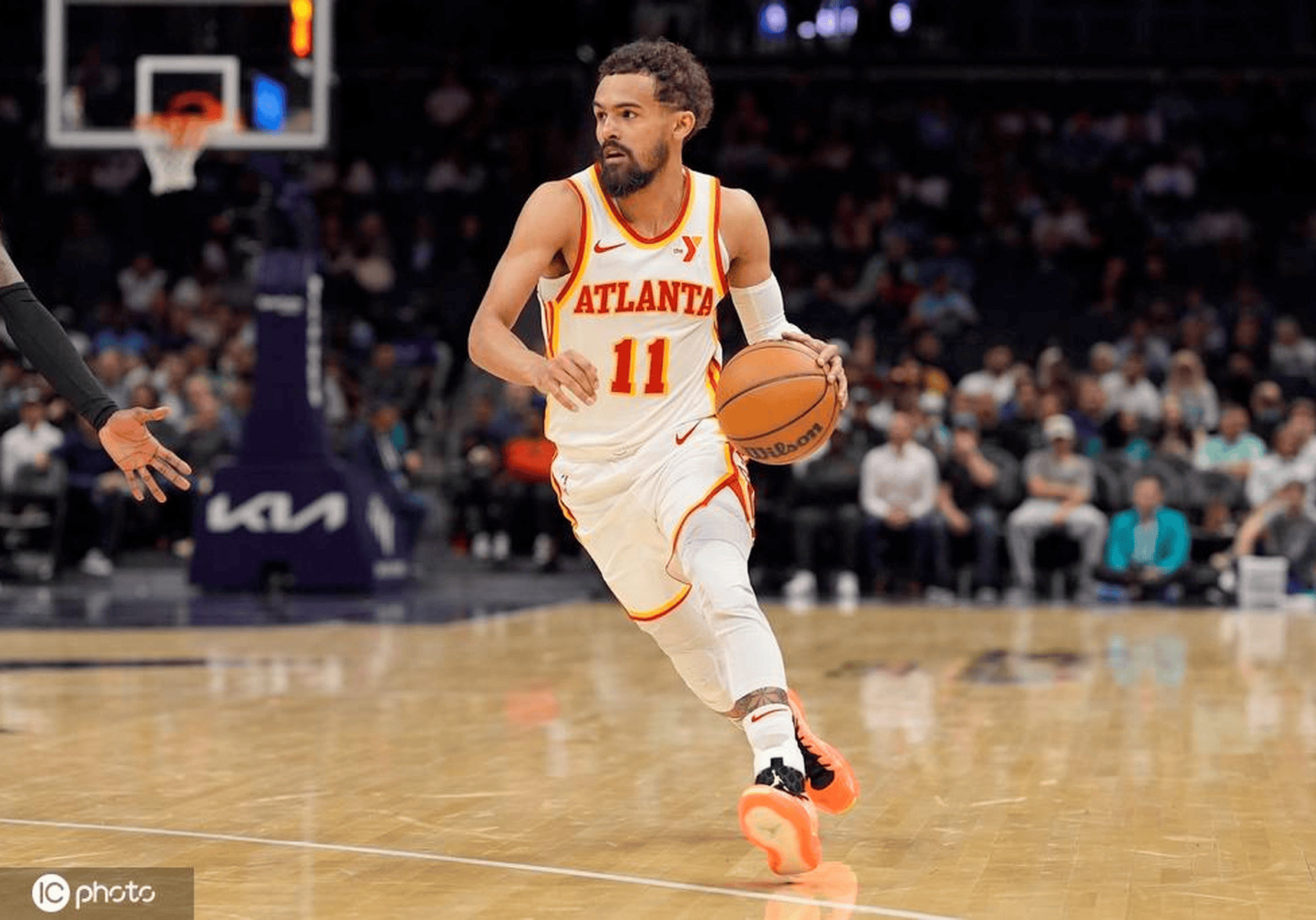 关于老鹰惊险击败山猫，特雷杨狂砍25分的信息