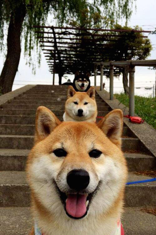 诸神黄昏的残响，欧冠淘汰赛夜，苏亚雷斯末节接管比赛