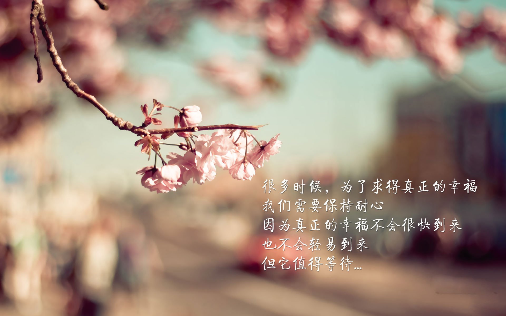 不可预测，冷门与接管，体育的冰与火之歌