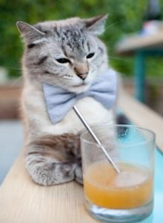 跨界王者的加冕，2026世界杯史诗之夜，爱德华兹如何持续撕裂对手防线