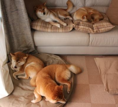 刺客与军团，当欧文的刀锋遇上掘金的铁壁，关键球基因如何塑造两种胜利？