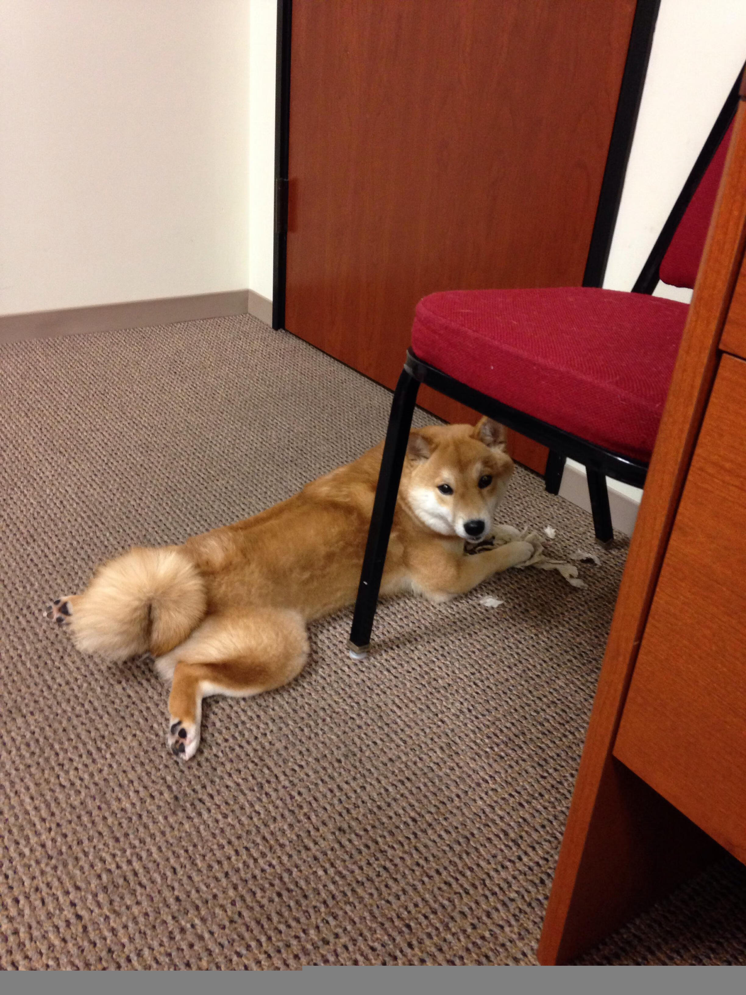 哨响之前，德甲争冠夜与恩比德末节之火的交响