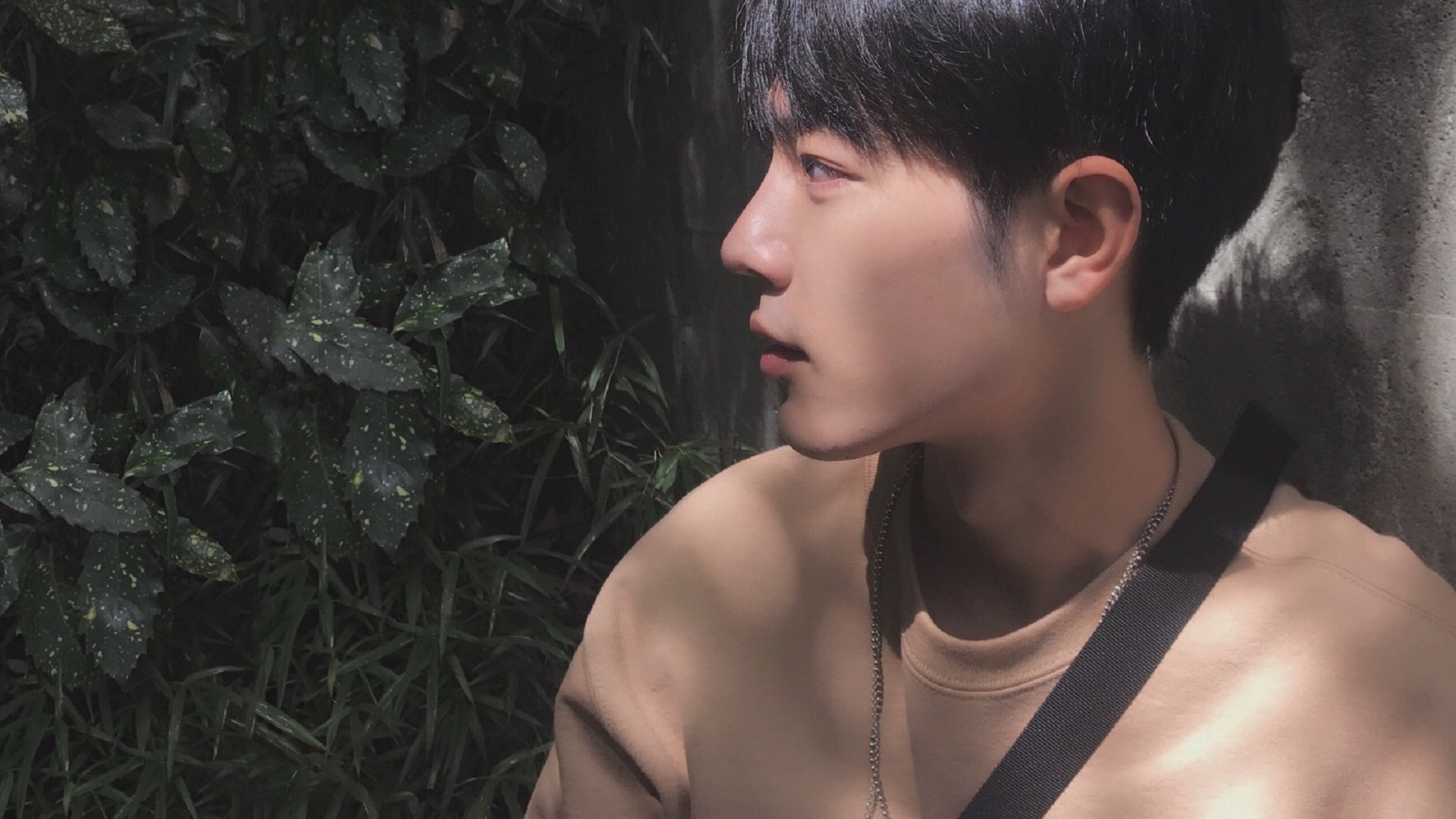 跨洋对决,凯尔特人vs吉林队,莫兰特赛后评分拉满