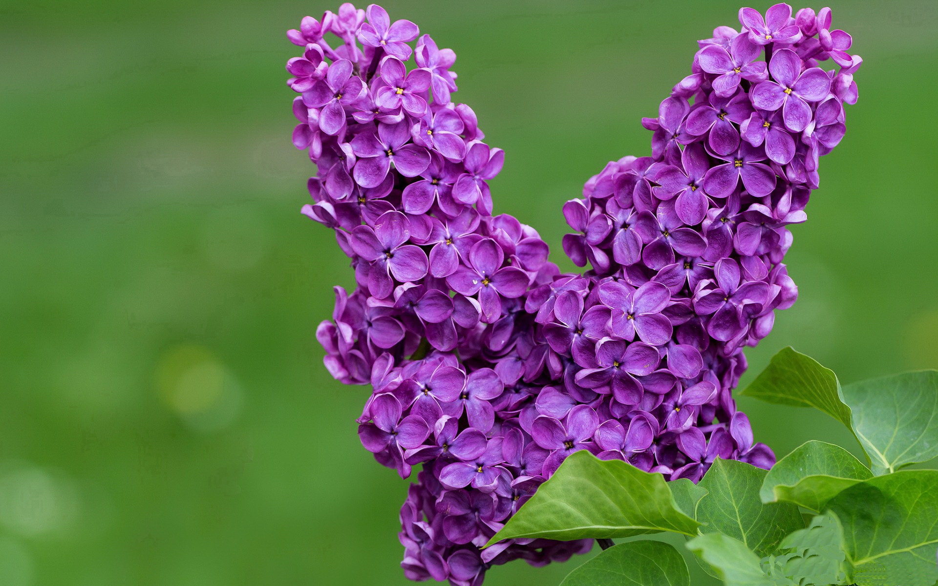压力熔炉与爆发瞬间，从姆巴佩到牙买加的足球启示