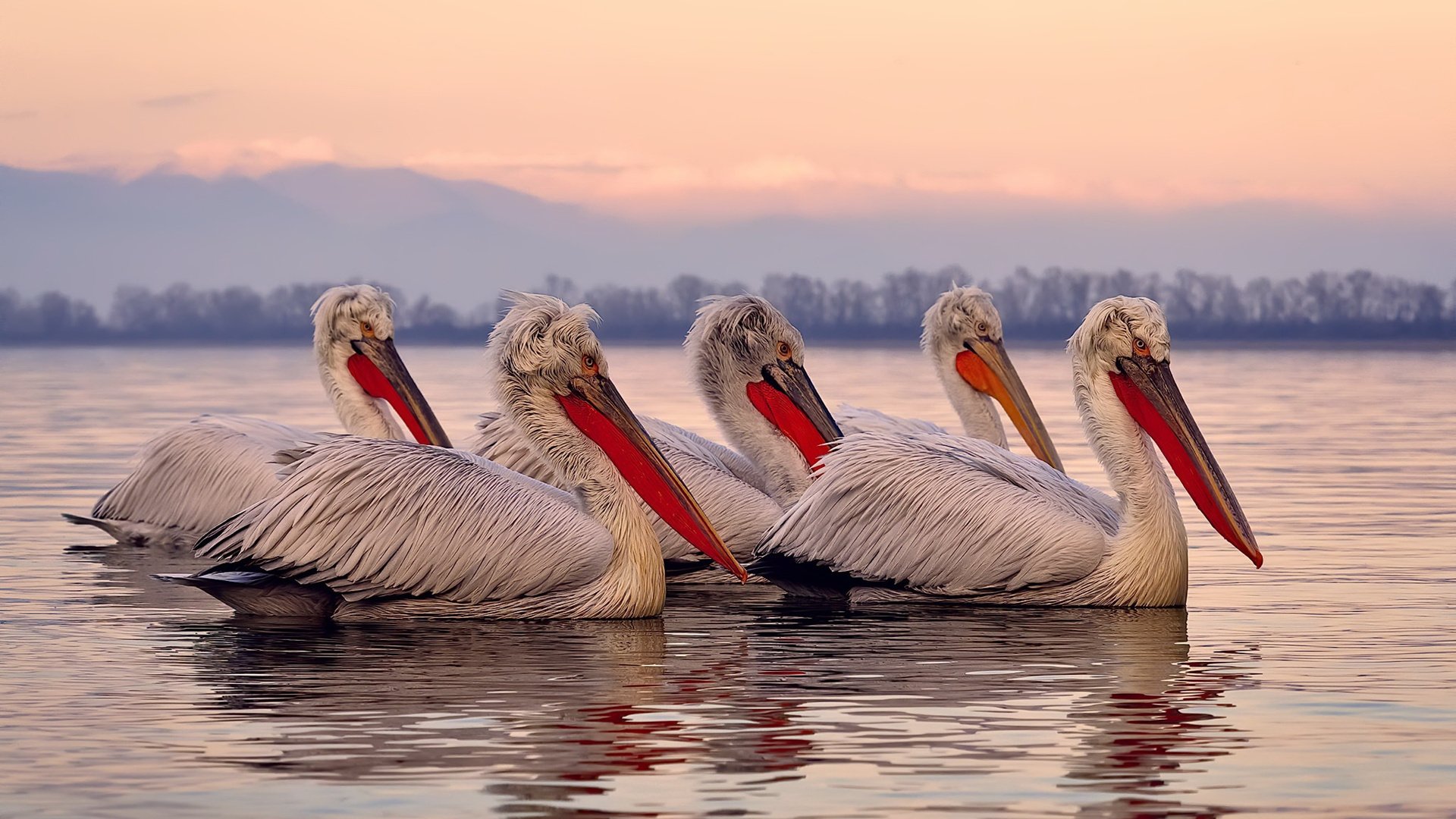 从平凡到非凡，范弗利特如何掘金强行终结太阳