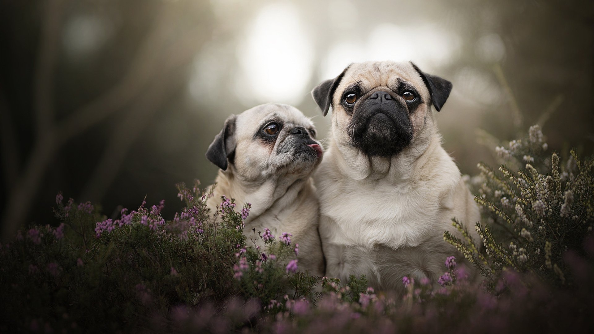 比利亚雷亚尔击溃冰岛，金玟哉筑起叹息之墙