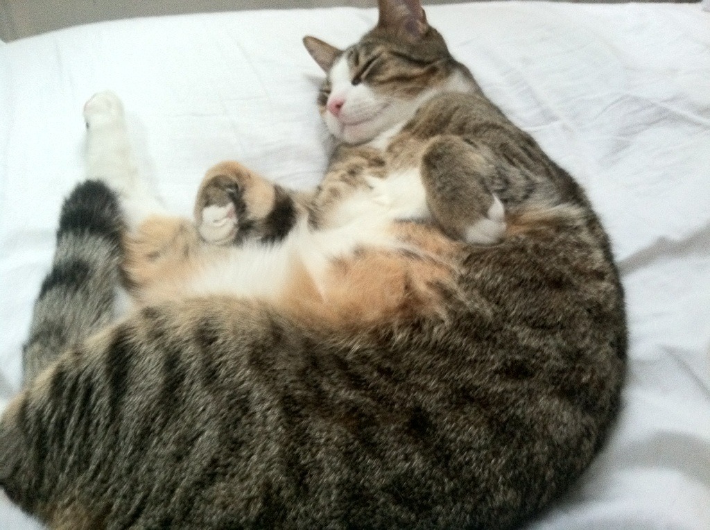 比利亚雷亚尔击溃冰岛，金玟哉筑起叹息之墙