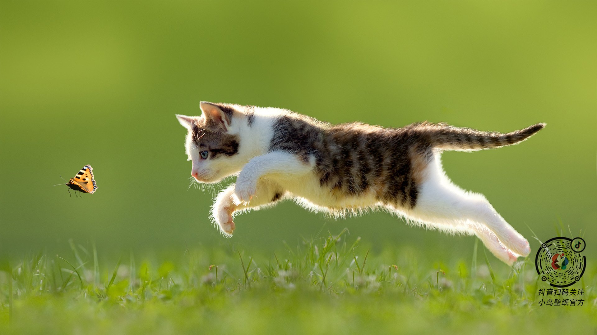 焦点之光与血性之魂，当姆巴佩刺破夜空，波兰在历史尘埃中与德国肉搏