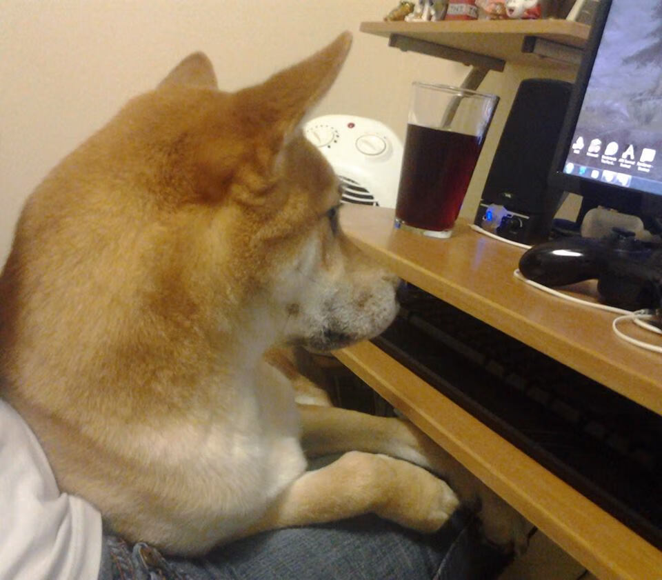 篮球场上的安菲尔德奇迹，NBA总决赛的利物浦式横扫