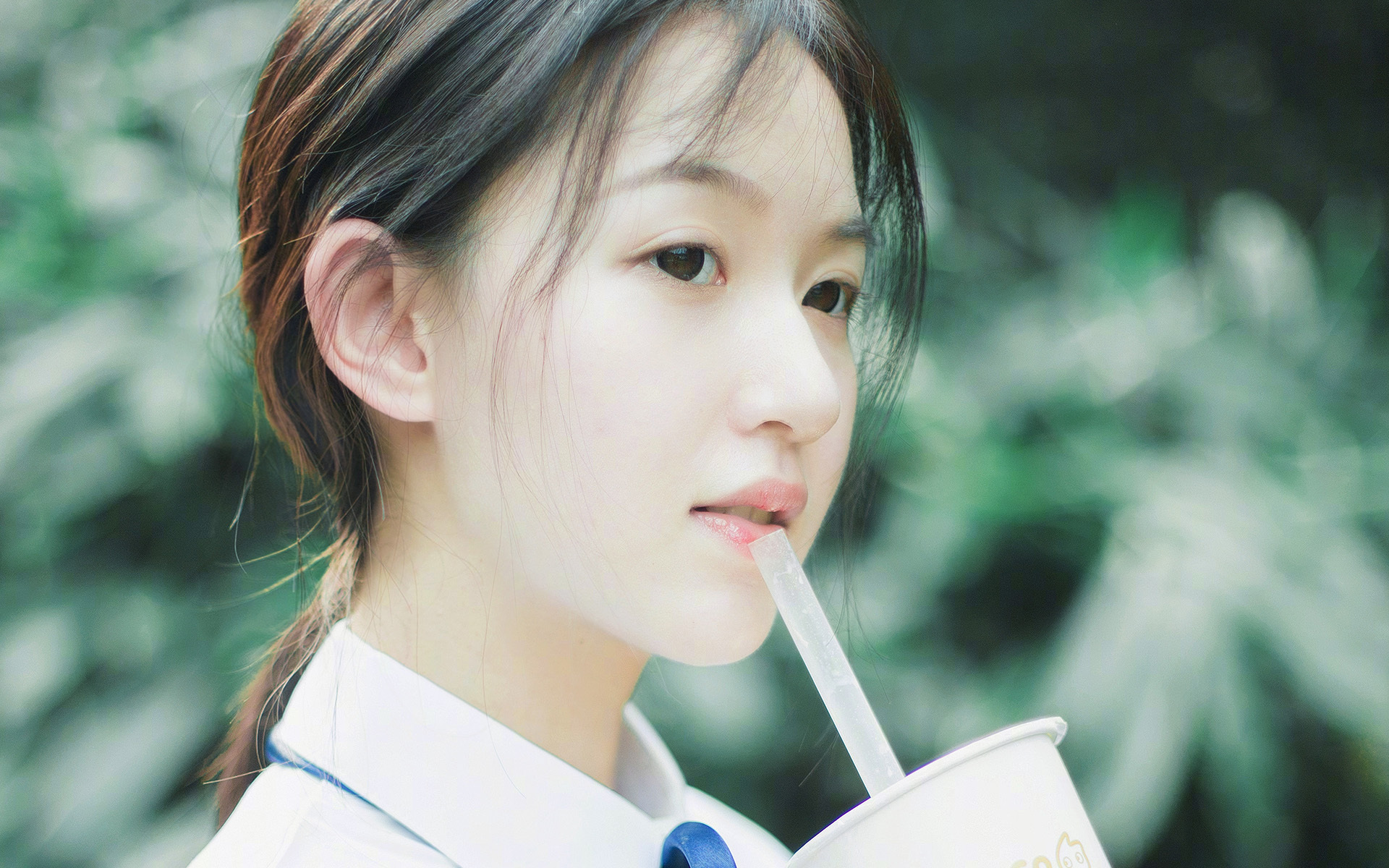 美加墨世界杯焦点战，黄蜂队稳扎稳打，力克广东队晋级之路