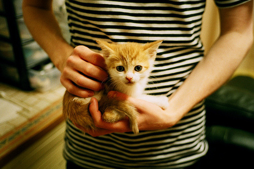 攻防统治!努涅斯燃爆全场,勒沃库森力克多特蒙德