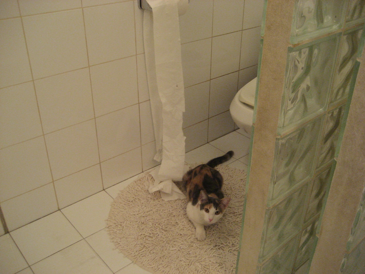 致命一防！詹姆斯末节锁死东契奇，广东队1分险胜独行侠