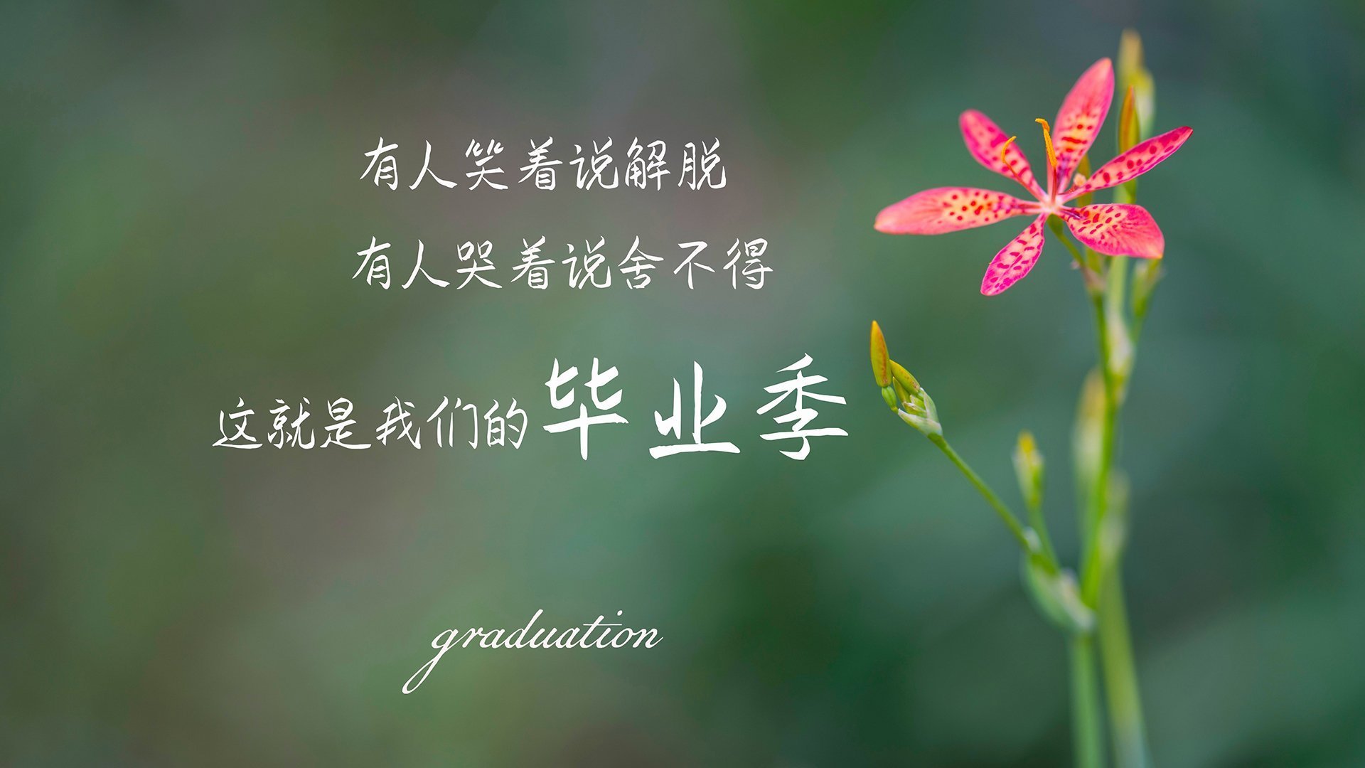 南美雄鹰翱翔云霄，世界杯争冠战强强对话，秘鲁力克芬兰，内马尔闪耀全场