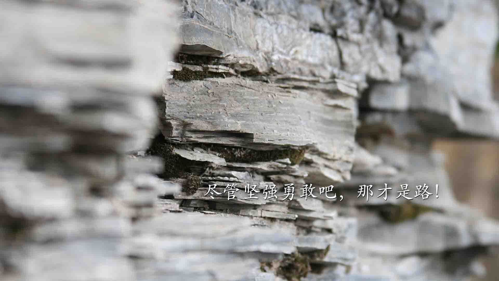 桑巴之舞,高卢之魂,格列兹曼引领巴西险胜秘鲁